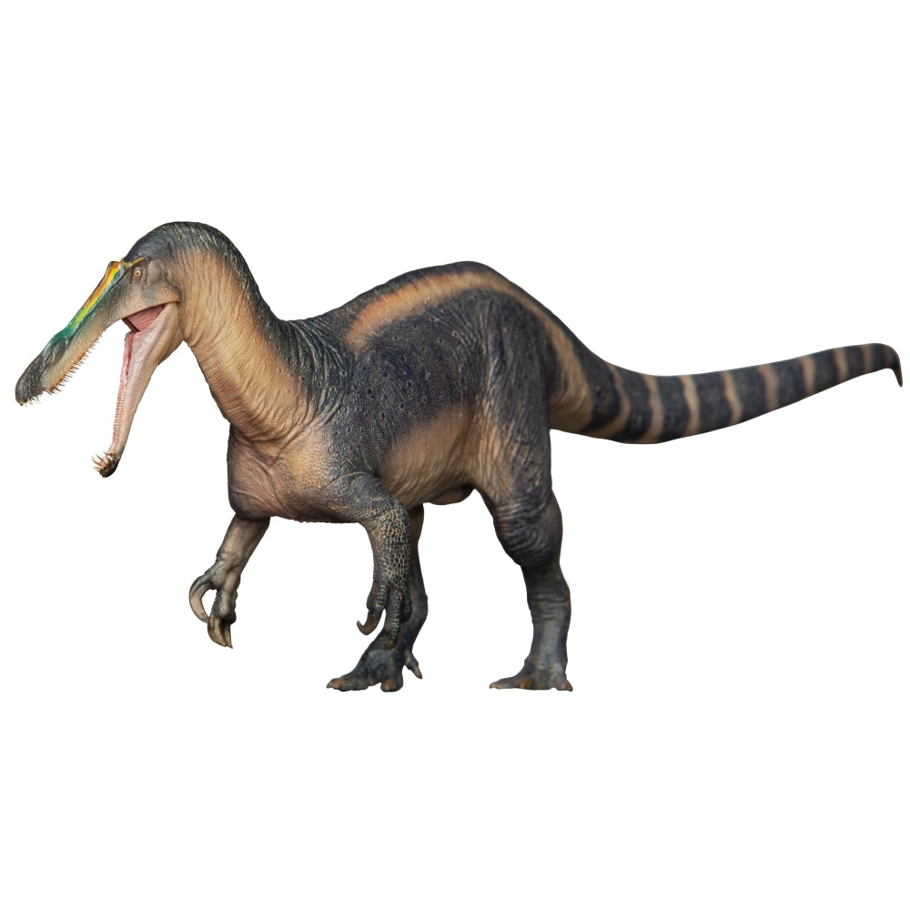 Thabo the Suchomimus, PNSO| The Daily Rex
