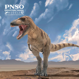 Cole the Daspletosaurus, PNSO