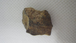 Stony Moroccan Meteorite