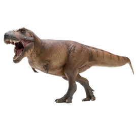 Damaged Box Cameron the Tyrannosaurus Rex, PNSO