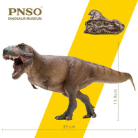 Cameron the Tyrannosaurus Rex, PNSO