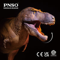Damaged Box Cameron the Tyrannosaurus Rex, PNSO