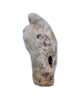 Cave Bear Tooth (Incisor)