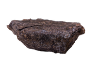 Ankylosaur Armor Scute, Hell Creek Formation