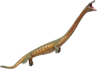 Xiaochong the Dinocephalosaurus, PNSO