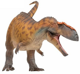 Hugo the Taurovenator, PNSO