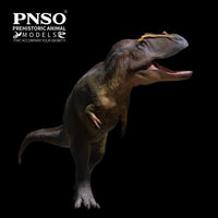 Mayer the Tameryraptor, PNSO