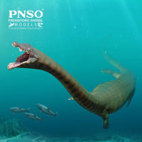 Xiaochong the Dinocephalosaurus, PNSO
