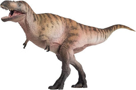 Logan the Nanotyrannus, PNSO