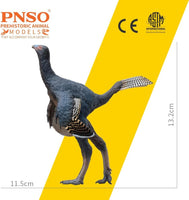 Junlang the Caudipteryx, PNSO