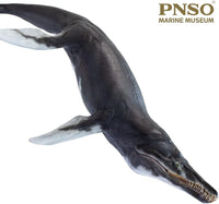 Jeff the Kronosaurus, PNSO