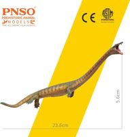 Xiaochong the Dinocephalosaurus, PNSO