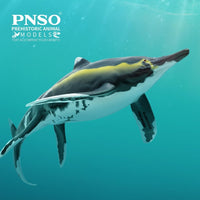 Youran the Guizhouichthyosaurus, PNSO