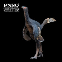 Junlang the Caudipteryx, PNSO
