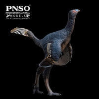 Junlang the Caudipteryx, PNSO