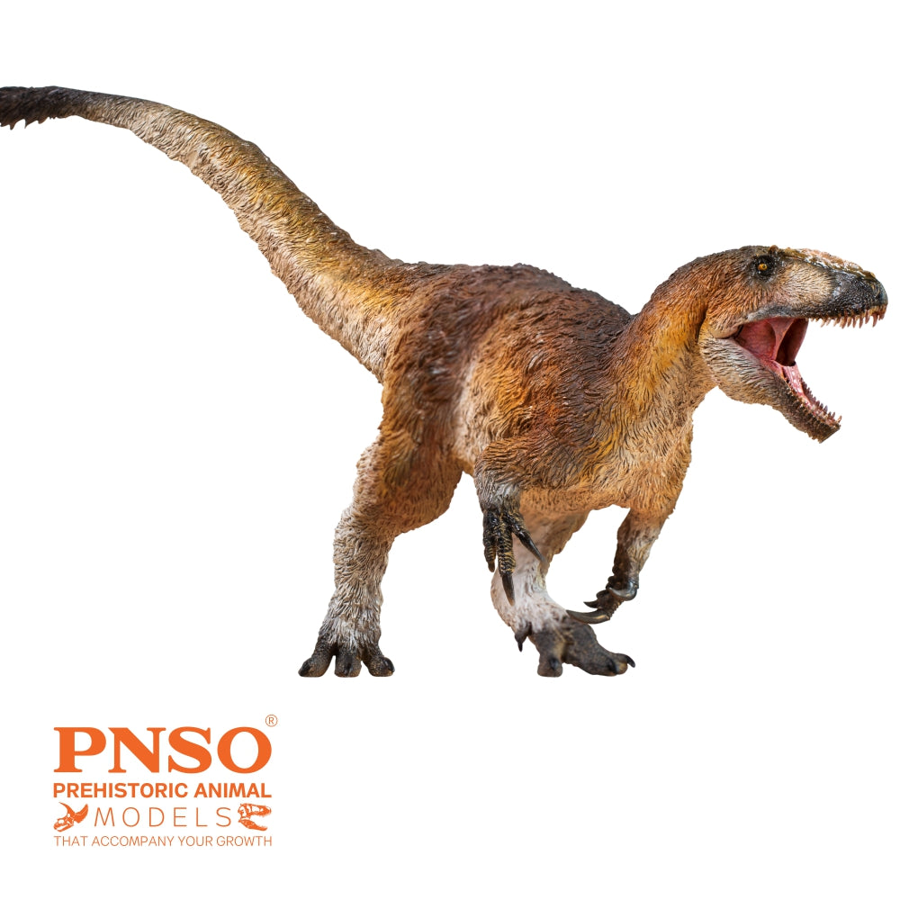 Yinqi the Yutyrannus, PNSO| The Daily Rex