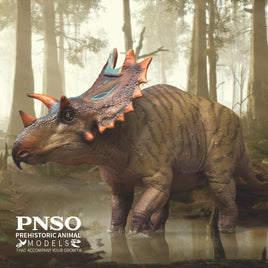 Judith the Spiclypeus, PNSO