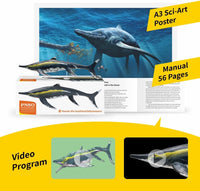 Youran the Guizhouichthyosaurus, PNSO