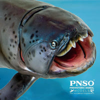 Zaha the Dunkleosteus, PNSO