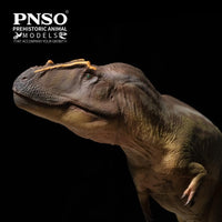 Mayer the Tameryraptor, PNSO