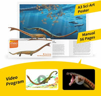 Xiaochong the Dinocephalosaurus, PNSO