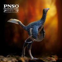 Junlang the Caudipteryx, PNSO