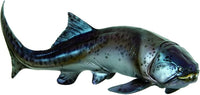 Zaha the Dunkleosteus, PNSO