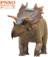 Judith the Spiclypeus, PNSO