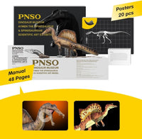 Aymen the Spinosaurus, PNSO