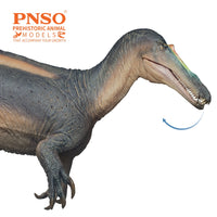 Thabo the Suchomimus, PNSO