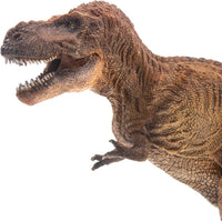 Wilson the Tyrannosaurus Rex, PNSO