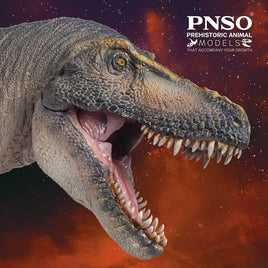 Chuanzi the Tarbosaurus, PNSO