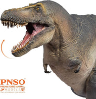 Chuanzi the Tarbosaurus, PNSO