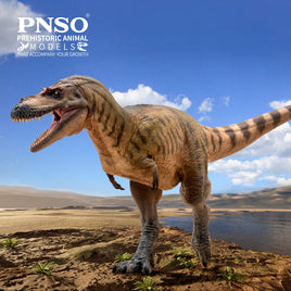Wally the Albertosaurus, PNSO
