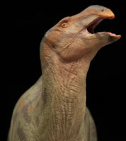 Lanqi the Lanzhousaurus, PNSO