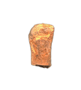 Plesiosaur Paddle Bone , Kansas Chalk, Cretaceous