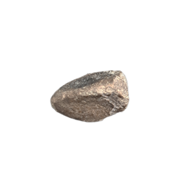 Maiasaura Calcaneus (ankle bone), Two Medicine Formation