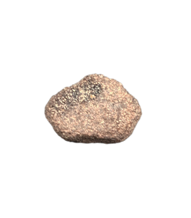 Metoposaurus Vertebrae, Chinle Formation