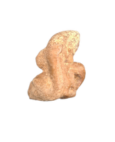 Dolphin (Araeodelphis) Ear Bone, Calvert Formation, 15-27 Milion Years Old