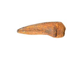 Turtle Claw, Hell Creek Formation