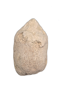 Coprolite (Poop), Brule Formation