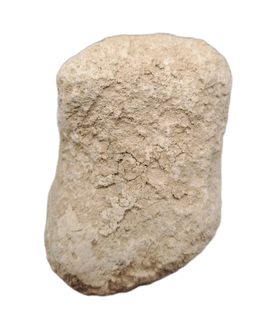Coprolite (Poop), Brule Formation