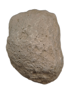 Coprolite (Poop), Brule Formation