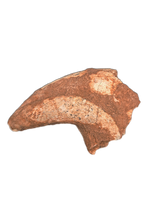 Theropod (Afrovenator?) Claw, Mid Jurassic of Africa