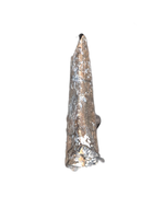 Undescribed Theropod Tooth, Niger-Cretaceous