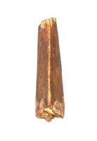 Theropod (Timurlengia?) Tooth, Bissekty Formation