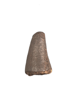 Mosasaur Tooth, Late Cretaceous of North Carolina