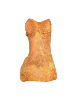 Theropod (Carcharodontosaurus?) Toe, Kem Kem