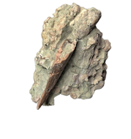 Theropod Dinosaur Tooth, El Mers Formation