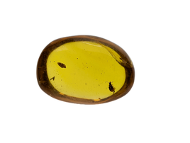 Amber with insect from Burma. Middle Cretaceous, 99 Million Years Old